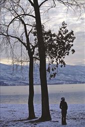 by alisonkarlene, Views[315]