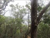 by alistairkeir, Views[287]