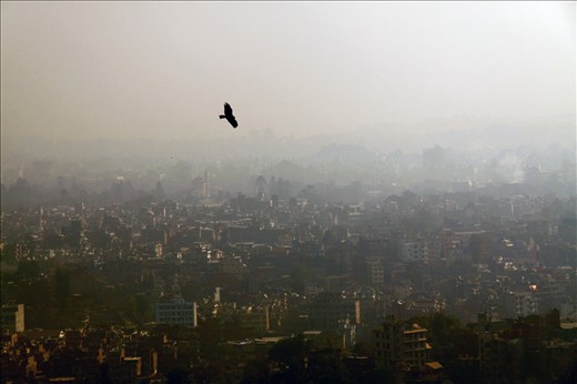 From the top of the Stupa, an eagle soars over the valley of Kathmandu.