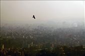 From the top of the Stupa, an eagle soars over the valley of Kathmandu.: by alixbrisley, Views[456]