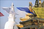 A thousand buddhist prayer flags move with the wind, surrounding the Stupa.: by alixbrisley, Views[342]