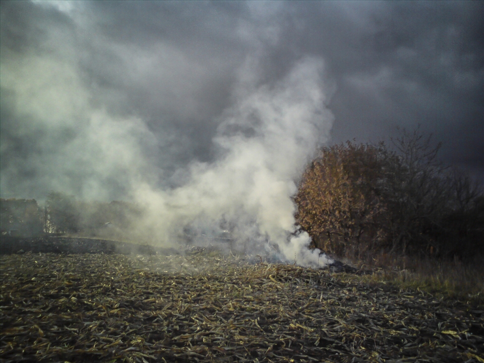 this photo is done by a smartphone )