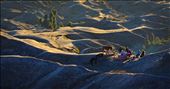 The sun had just risen when these tourists had their morning coffee. The Tengger people of Bromo live by developing tourist-friendly facilities in the area, from renting horses to selling hot food and beverages. : by allanddharmawan, Views[721]