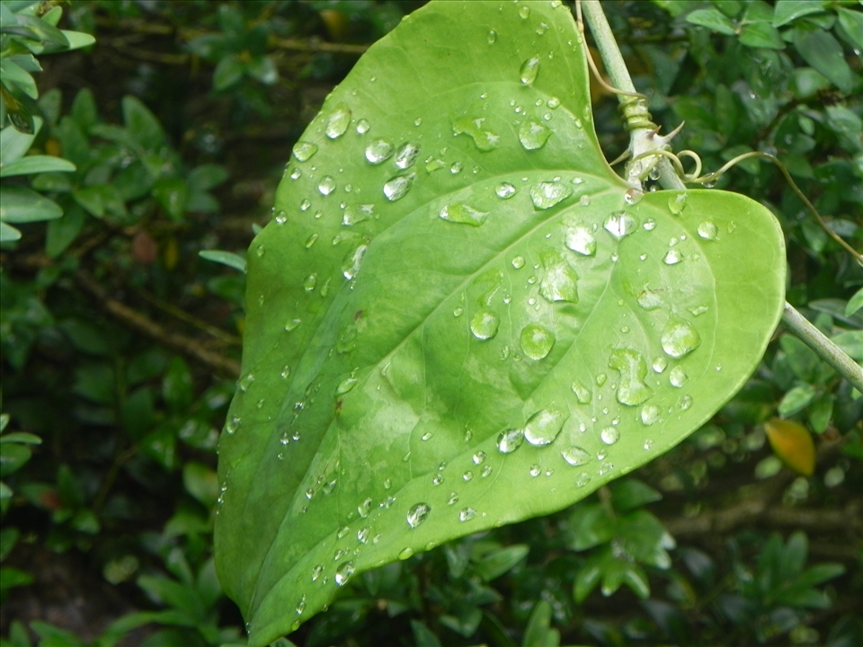 This was taken right after a rain storm.