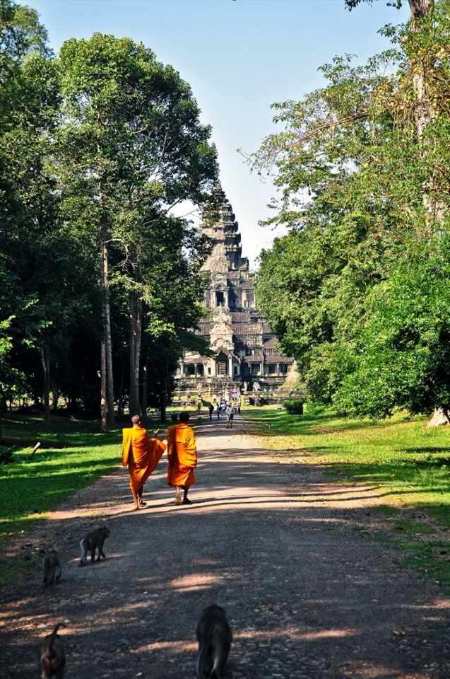 Buddhist monks and monkeys freely roaming around the Angkor Wat temple.