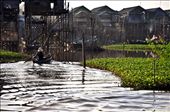 Poverty floating amidst the beauty. A village in Cambodia rely on the river for sustenance.: by allenpangan, Views[426]