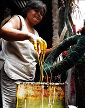 A woman decorating a lantern.: by allenvalladares, Views[452]