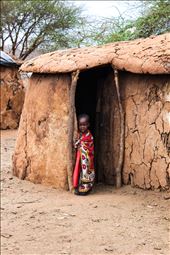 On our first day in Kenya, my family and I visited a Maasai village within the Porini Amboseli Conservancy. The tribe leader was explaining that they make their huts out of cow dung, sticks, mud and grass, when I turned and saw this brilliant shot. A little Maasai girl was peering out of her hut and looking straight at me.: by alliesharpe, Views[407]
