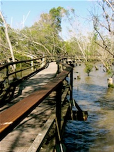 A floating sidewalk along the river, making the Brisbane city seem far away