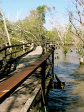 A floating sidewalk along the river, making the Brisbane city seem far away: by allisonsquires, Views[347]