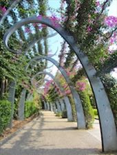 Curving purple pathways along Southbank; My favorite place in Brisbane: by allisonsquires, Views[402]