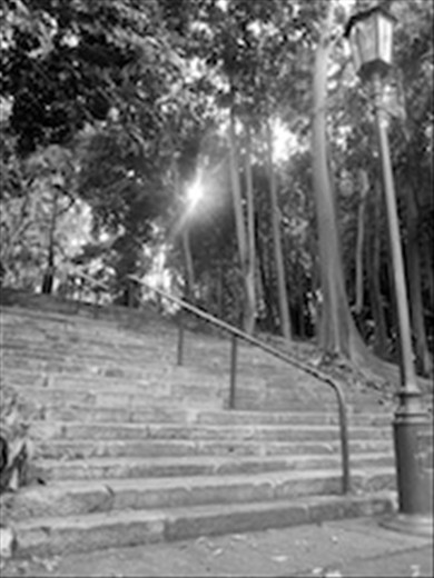 Follow the warmth and light up the steps from the river to the botanic gardens
