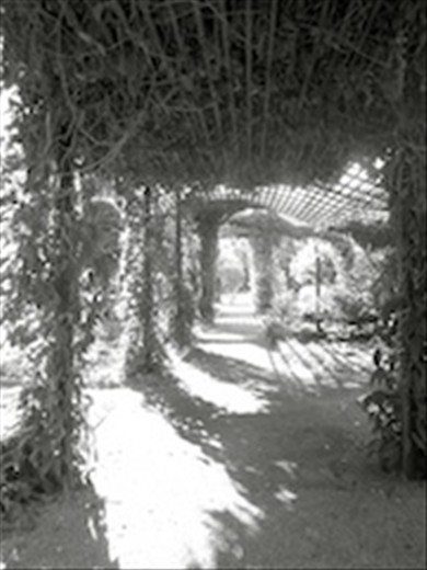 Gardens paths lead to trellises dripping with flowers like a fairy wonderland 