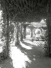 Gardens paths lead to trellises dripping with flowers like a fairy wonderland : by allisonsquires, Views[266]