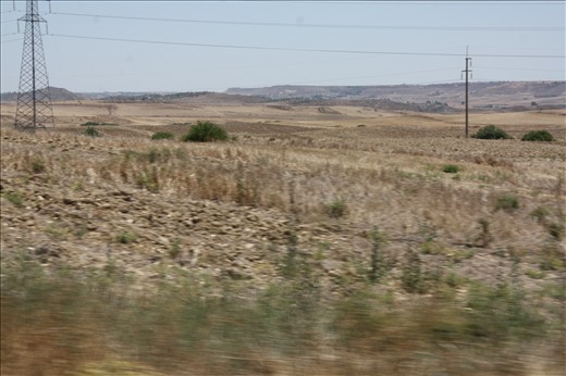 walking in the fields