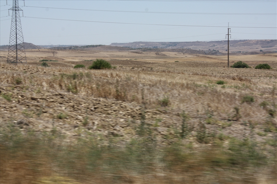 walking in the fields