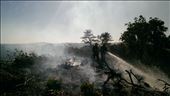 Firefighting in Castle Grounds: by ally5160, Views[265]