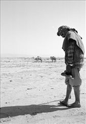 It just rained and the sand of the desert was wet: by almonina, Views[305]