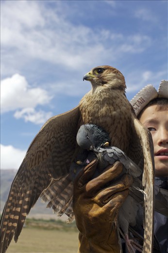 Young boy in training holds up his bird's kill.
