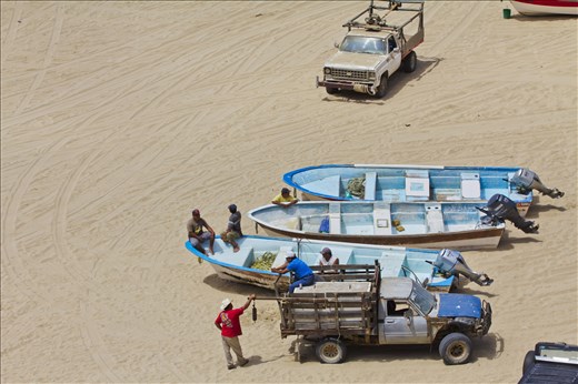 Men wait for customers at pop up fish market where customers can buy fresh catch