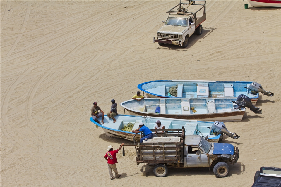Men wait for customers at pop up fish market where customers can buy fresh catch