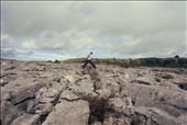 Crossing Stones: by alon, Views[268]