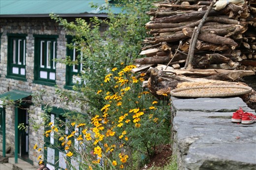 03.The Lodge: 
Lodges are becoming a major Sherpa Economy contributor in recent years. In this picture a typical Sherpa house that the family runs as a small business as well. The daily routine aspects exhibit themselves in this picture in few details like the kid shoes, the corn spread on a tray for drying, and the wood made ready for heating.