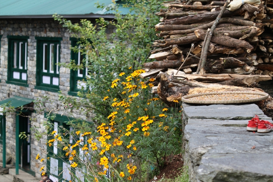 03.The Lodge: 
Lodges are becoming a major Sherpa Economy contributor in recent years. In this picture a typical Sherpa house that the family runs as a small business as well. The daily routine aspects exhibit themselves in this picture in few details like the kid shoes, the corn spread on a tray for drying, and the wood made ready for heating.