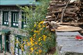 03.The Lodge: 
Lodges are becoming a major Sherpa Economy contributor in recent years. In this picture a typical Sherpa house that the family runs as a small business as well. The daily routine aspects exhibit themselves in this picture in few details like the kid shoes, the corn spread on a tray for drying, and the wood made ready for heating.: by alrahhalah, Views[524]