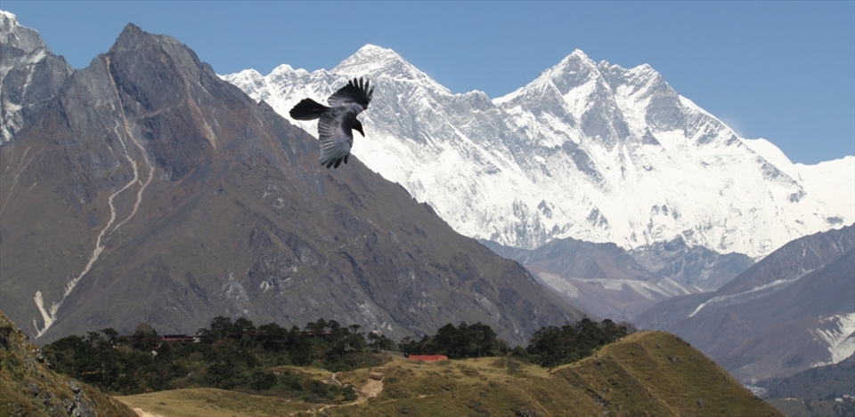 05.Everest AboveThe KhumbuTree Line: 
Khumbu is one of the major three Sherpa settlements. This picture was taken at an elevation of approximately 3800m which marks the Tree Line of Khumbu. Above that altitude, trees will no longer grow. Right in the middle and above the Tree Line, lies M. Everest like a 