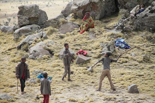 Children playing up high in the mountains, while the cattle is grazing.