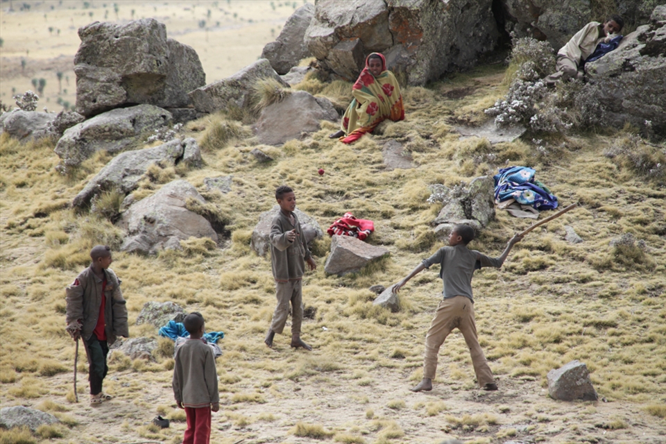Children playing up high in the mountains, while the cattle is grazing.
