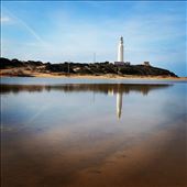 by alvaeza, Views[205]