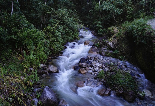 Evening Stream  at Urubamba Valley:
 Part of my trip to Machu Picchu was a trekking for the Peruvian Jungle. I never thought i was going to find such beauty and actually  enjoy the route to the citadel as much as i enjoyed machu picchu itself. 
This image was taken without much effort, doing a short exposure to get the silky effect in the water with  really low light conditions, and no filter on my lens.  After that, the night was filled with the light of fireflies that appeared like floating  light in the surrounding mountains.  A special time i´ll never forget.