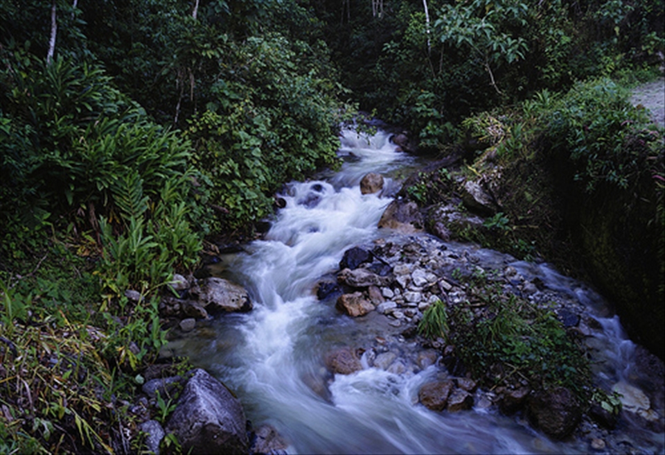 Evening Stream  at Urubamba Valley:
 Part of my trip to Machu Picchu was a trekking for the Peruvian Jungle. I never thought i was going to find such beauty and actually  enjoy the route to the citadel as much as i enjoyed machu picchu itself. 
This image was taken without much effort, doing a short exposure to get the silky effect in the water with  really low light conditions, and no filter on my lens.  After that, the night was filled with the light of fireflies that appeared like floating  light in the surrounding mountains.  A special time i´ll never forget.