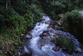 Evening Stream  at Urubamba Valley:
 Part of my trip to Machu Picchu was a trekking for the Peruvian Jungle. I never thought i was going to find such beauty and actually  enjoy the route to the citadel as much as i enjoyed machu picchu itself. 
This image was taken without much effort, doing a short exposure to get the silky effect in the water with  really low light conditions, and no filter on my lens.  After that, the night was filled with the light of fireflies that appeared like floating  light in the surrounding mountains.  A special time i´ll never forget.: by alvarobelier, Views[443]