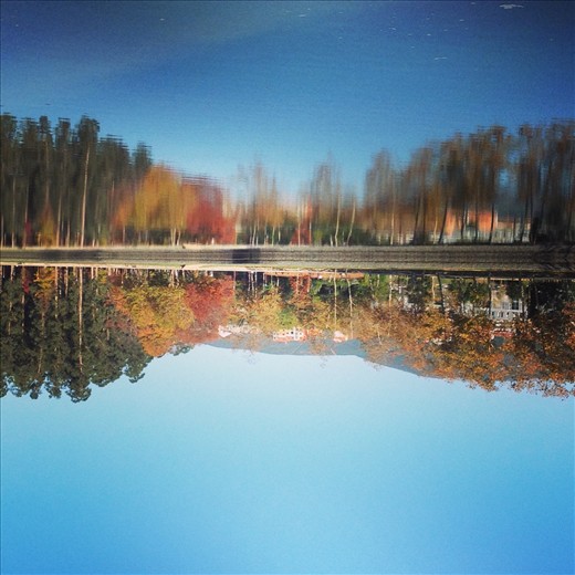 Reflections on the River - Galicia