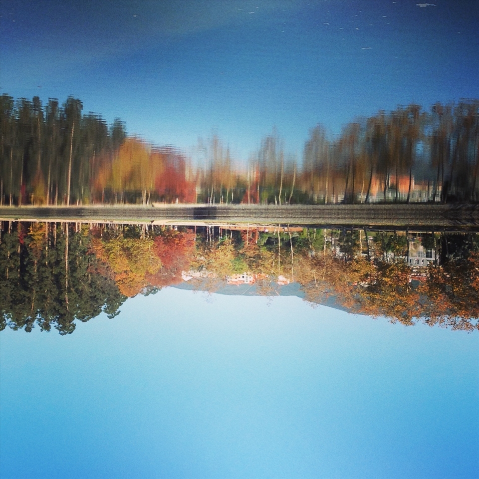 Reflections on the River - Galicia
