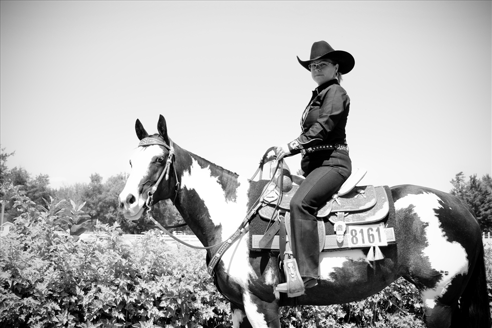 Mare paint hose.Horses competition Canon 60D 18-55mm 