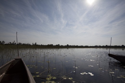 Heading out in search for frogs