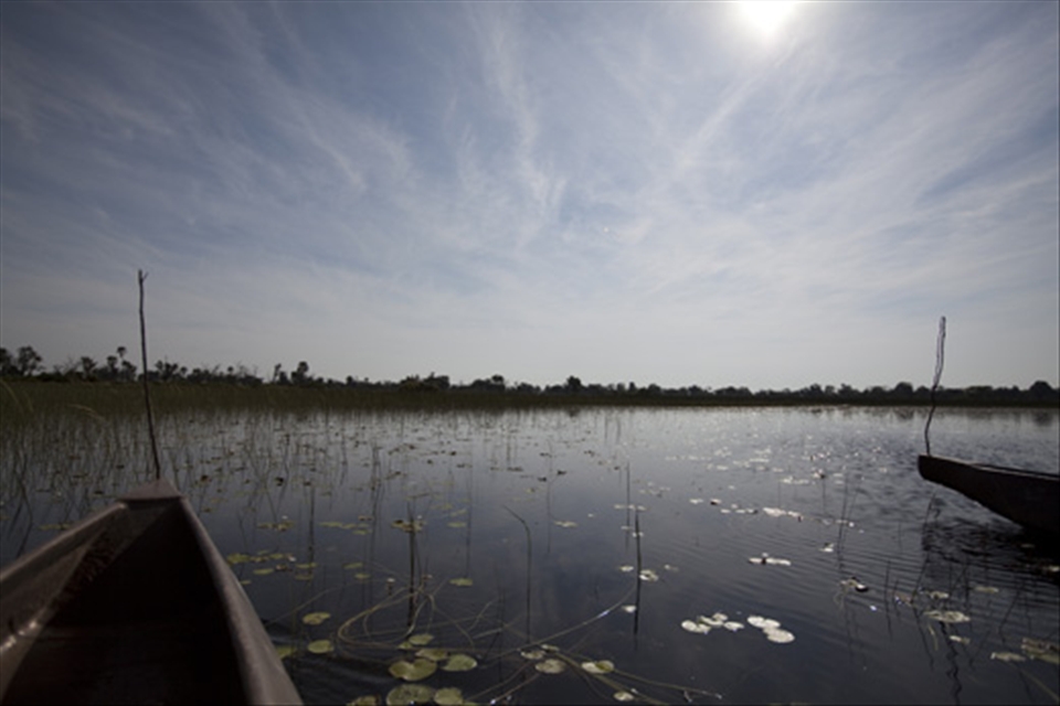 Heading out in search for frogs