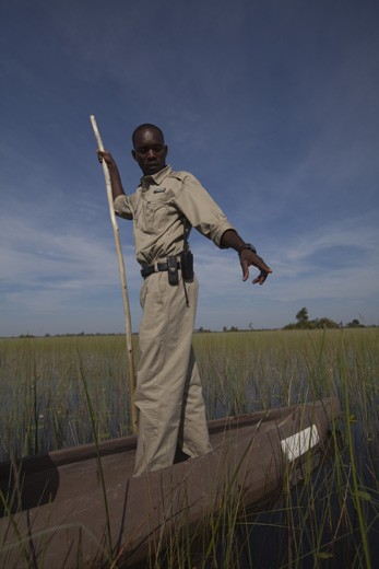 Guide pointing out the African Reed Frog