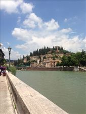 by alyssa730, Views[226]