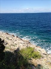 by alyssa730, Views[211]