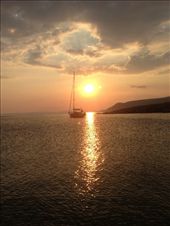 by alyssa730, Views[199]