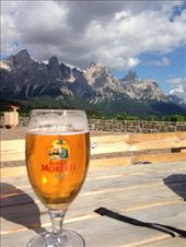 by alyssa730, Views[198]