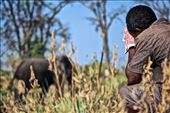 A guide looks on nervously as a huge bull Elephant passes out camp.: by amacphoto7, Views[319]
