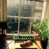 Pulla Loaf: by amakkonen, Views[314]