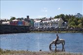 The early morning horse fair ended, a Gypsy boy rides his horse bareback into the River Laune to escape the heat and dust while the colorful town of Killorglin sits in the background.: by amandaheigel, Views[1013]