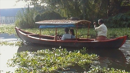  Enjoy the beauty nature